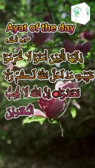Ayat of the day 1 | Surah Al-Maidah ayat 78 | Qari Abdul Basit #shorts #shortvideos