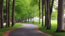 https://www.dailymotion.com/partner/x32xsks/media/video?upload=true