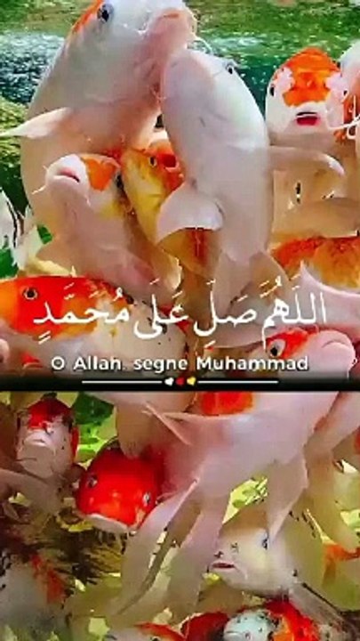 Jumma Mubarak!