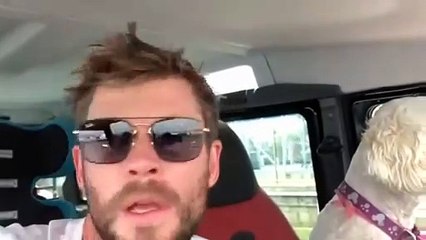 BATTLE - Avengers Infinity War Cast - Who is your favorite_ -  CUTE AND FUNNY MOMENTS 2018