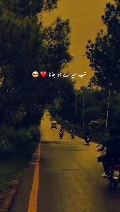 VID-20240919-WA0018