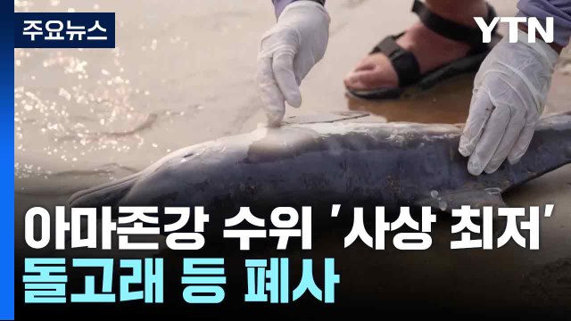 아마존강 수위 '사상 최저'...돌고래 등 폐사 / YTN