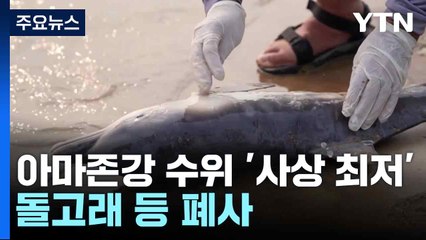 아마존강 수위 '사상 최저'...돌고래 등 폐사 / YTN