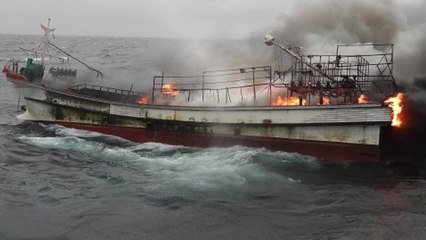 태안 해상서 조업하던 어선 불...승선원 8명 구조 / YTN