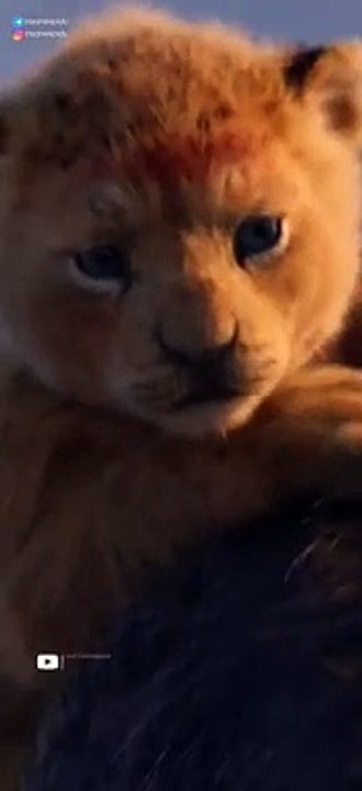 Lion-King-Full-screen