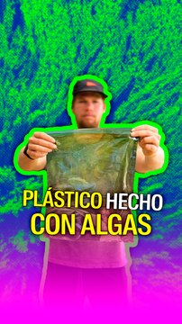 Plástico hecho con algas