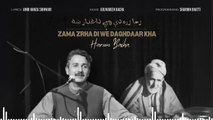 Haroon Bacha - Zama Zra Di We Daghdaar Kha (New Pashto Song, 2024)