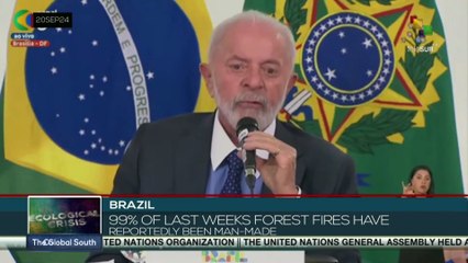 Forest fires destroy area twice the size of Austria in Brazil