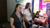 Pase en vivo - ¿Cómo aprovechar mejor las oportunidades de las ferias de empleo?