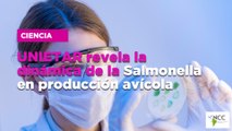 UNIETAR revela la dinámica de la Salmonella en producción avícola
