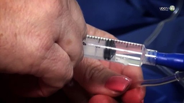 Jalisco, primer lugar nacional en casos de dengue