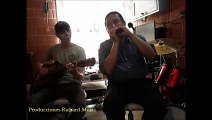 Heart of Gold - Guitarra y Armónica
