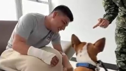 ¡Conmovedor! Así fue el apoyo emocional de dos perros a soldados internados en el Hospital Militar