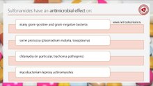 Antimicrobial effect of sulfonamides