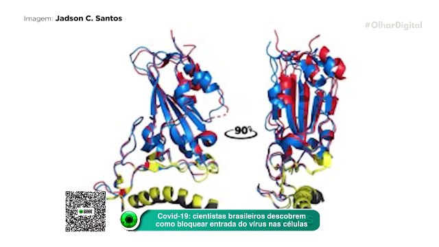 Covid-19: cientistas brasileiros descobrem como bloquear entrada do vírus nas células