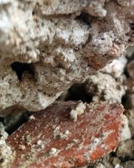 |HABIB ARIEL CORIAT HARRAR | CIBERSEGURIDAD EN LA TELEMEDICINA (PARTE 2) (@HABIBARIELC)