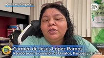 ¿Qué son las compensaciones ambientales y cómo se aplican en Coatzacoalcos?