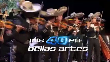 Mis 40 en Bellas Artes | movie | 2014 | Official Trailer