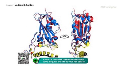 Brazilian scientists discover how to block the virus from entering cells