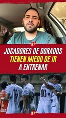 Jugadores de Dorados de SINALOA tienen MIEDO de ir a entrenar