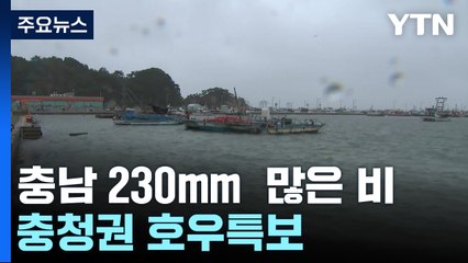 충남 밤사이 230mm 넘는 많은 비...충청권 호우 특보 / YTN