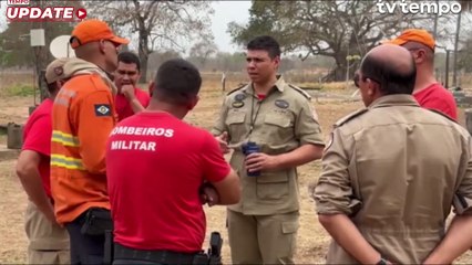 Kebakaran Hutan Brasil Mengancam Ekosistem di Lahan Basah Pantanal