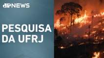 Mais de 90% dos incêndios no Brasil são causados por ação humana