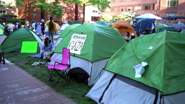 University of Sydney vice-chancellor Mark Scott apologises to Jewish students over Students for Palestine encampment