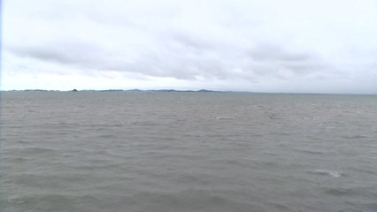 시간당 90mm 넘는 폭우...'도로 잠기고 상가 침수' / YTN