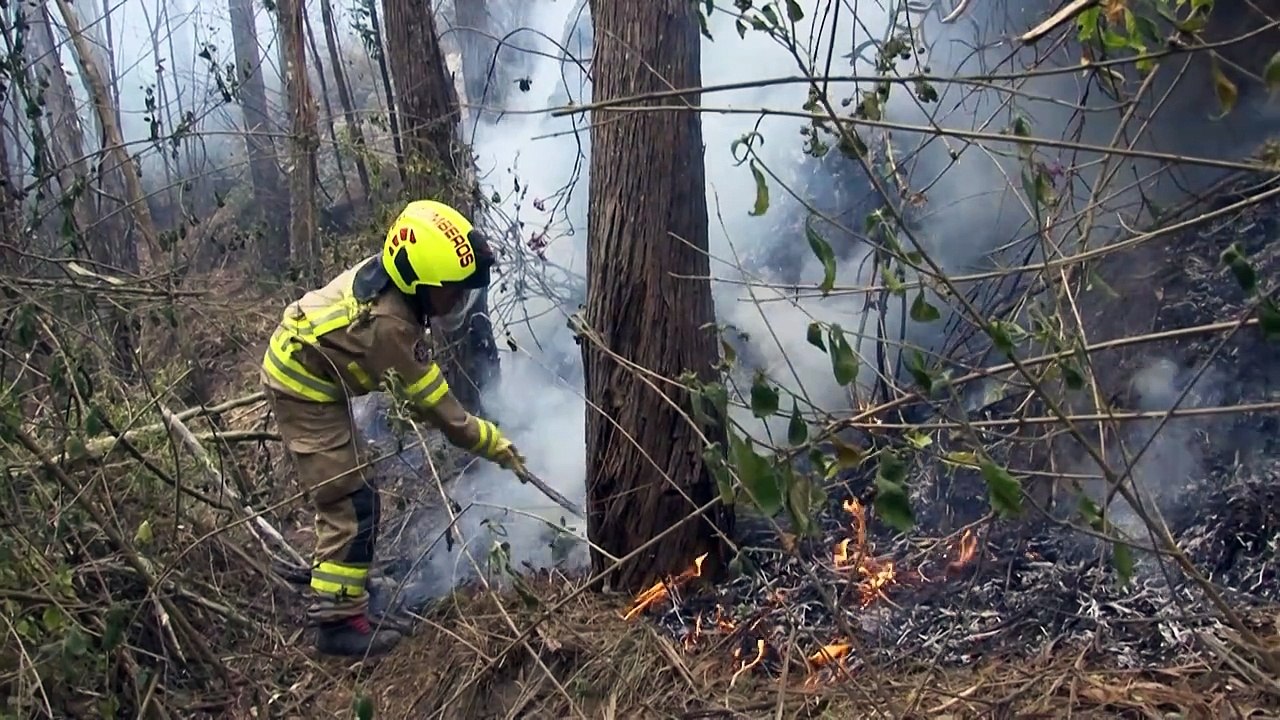 Incendios forestales en Colombia siguen fuera de control y arrasan 9.000 hectáreas