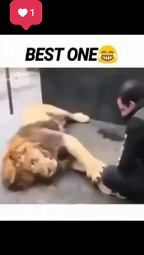Comedy video
