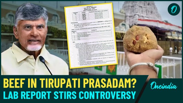 Tirupati Balaji Laddus Controversy: Key Facts About Prasadam Laced With Beef | CM Naidu's Outraged
