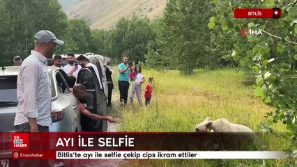 Bitlis'te ayı ile selfie çekip cips ikram ettiler