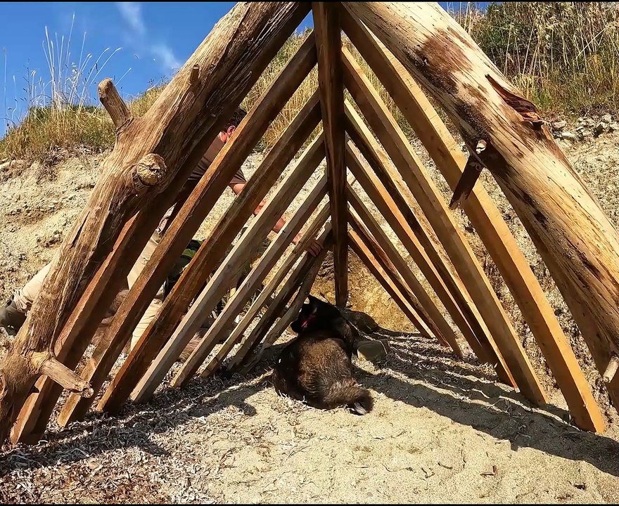 3 DAYS solo survival (NO FOOD, NO WATER) Catch and Cook, OCTOPUS - Rain Camping, Bushcraft Shelter