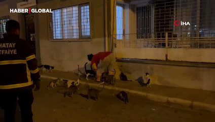 Bir garip kovalamaca! Koli bantlı kedi yardım etmek isteyen itfaiyecilerden kaçtı