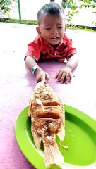 help me i was bitten by a fish