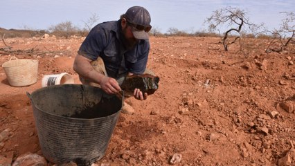 Australie, la ruée vers l'or