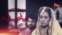 Drama _ Mera Saya - Episode 17 _ Play Tv Dramas _ Shehzad Malik, Shazia Goher, Kainat Chohan