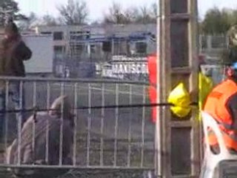 Nitroman vs Nitrofor !!!