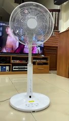Quạt Điện Nội Địa Nhật Hitachi Hef-Al300F Thiết Kế 8 Cánh - Hàng Nhật 123