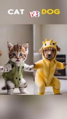 Dancing cat and dog videos
