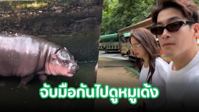 อาเล็ก ธีรเดช จับมือ โบว์ เมลดา ไปดูน้องหมูเด้ง ไอดอลแห่งสวนสัตว์เขาเขียว