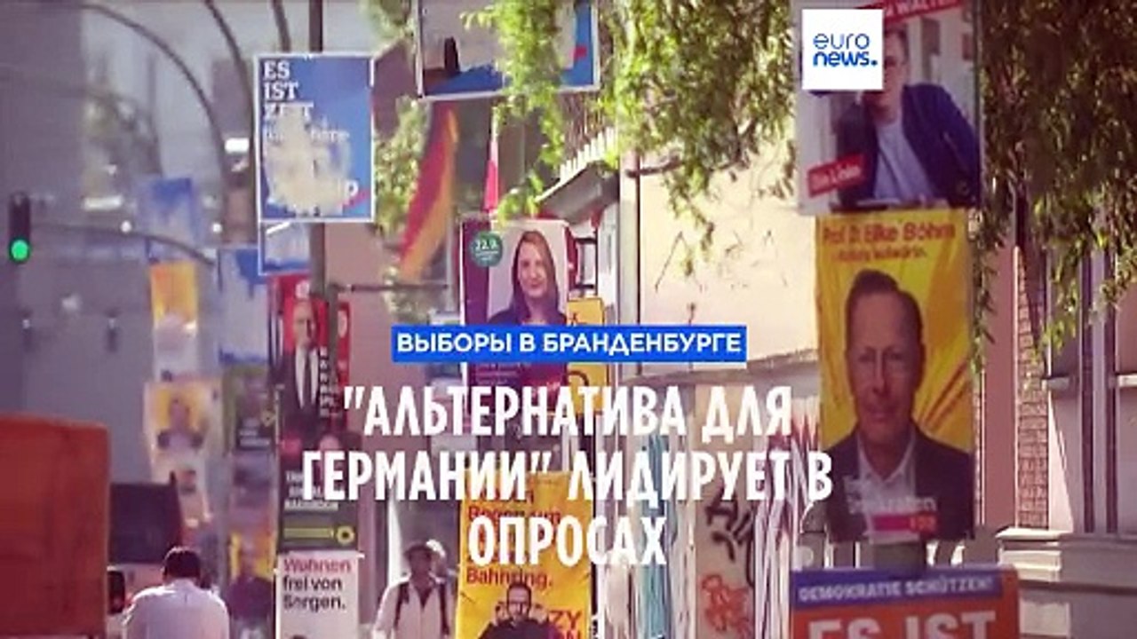 Германия: в предвыборных опросах в Бранденбурге лидирует "Альтернатива для Германии"