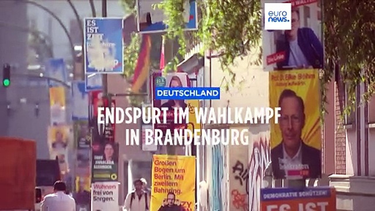 AfD vor weiterem Erfolg in Brandenburg
