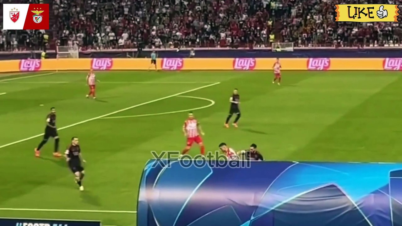 UEFA - 2024Crvena Zvezda vs Benfica 1-2 Highlights Goals | Champions League 2024-25