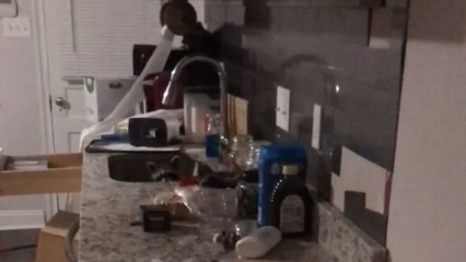 Mischievous raccoons make a kitchen disaster while trying to hide from dad