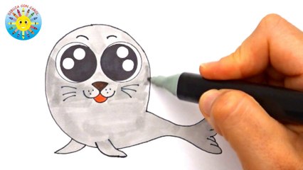 Aprende a dibujar una BONITA FOCA BEBÉ !!!! How to draw a nice BABY SEAL !!!!