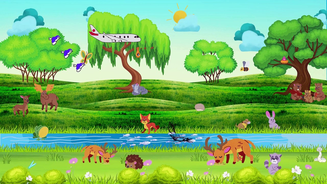 Animated Nature cartoon and Video