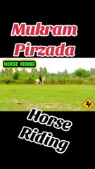 Enjoying Horse Riding #horse #horseriding