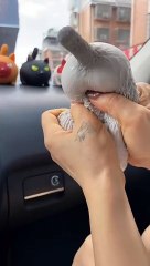 Top - 3 Amazing Chinese Gadgets